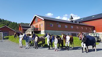 Kretsmesterskap i dressur på Åmot